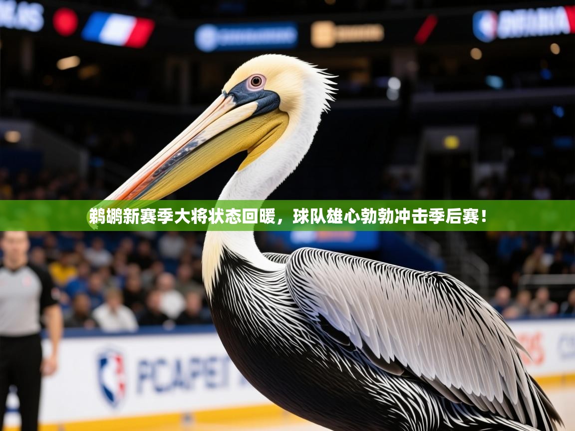 2025米兰体育是正规的吗鹈鹕新赛季大将状态回暖,球队雄心勃勃冲击季后赛! 第4张